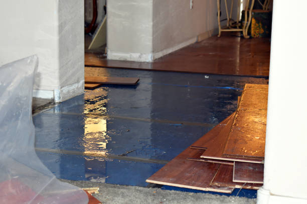 Professional Water Damage Restoration technician working in Clayton, NC
